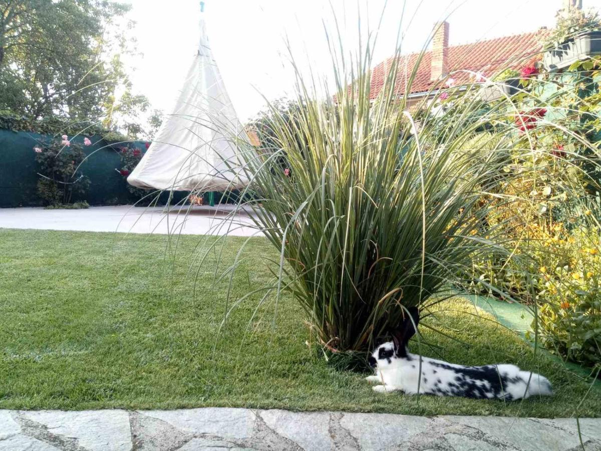 Hotel Yard House Trpejca Ochryda Zewnętrze zdjęcie